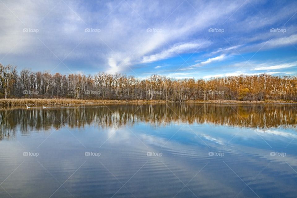 Fishing pond during late fall in Northville Michigan. 