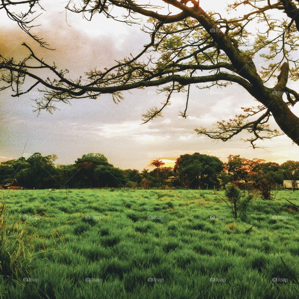 🌄🇺🇸 An extremely beautiful dawn in Jundiaí, interior of Brazil. Cheer the nature! / 🇧🇷 Um amanhecer extremamente bonito em Jundiaí, interior do Brasil. Viva a natureza! 