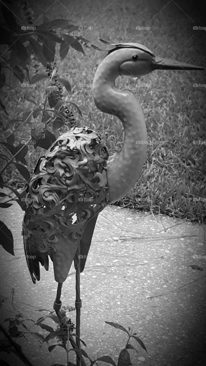 decor bird grayscale