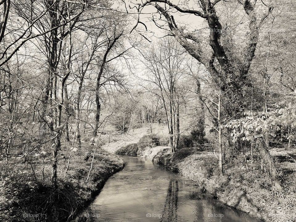 English countryside stream.