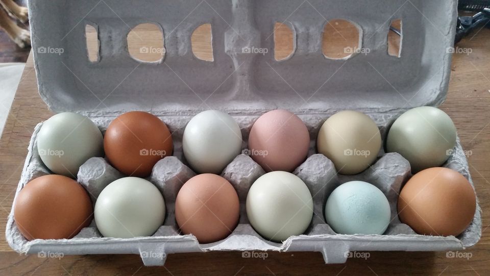 eggs naturally these colors