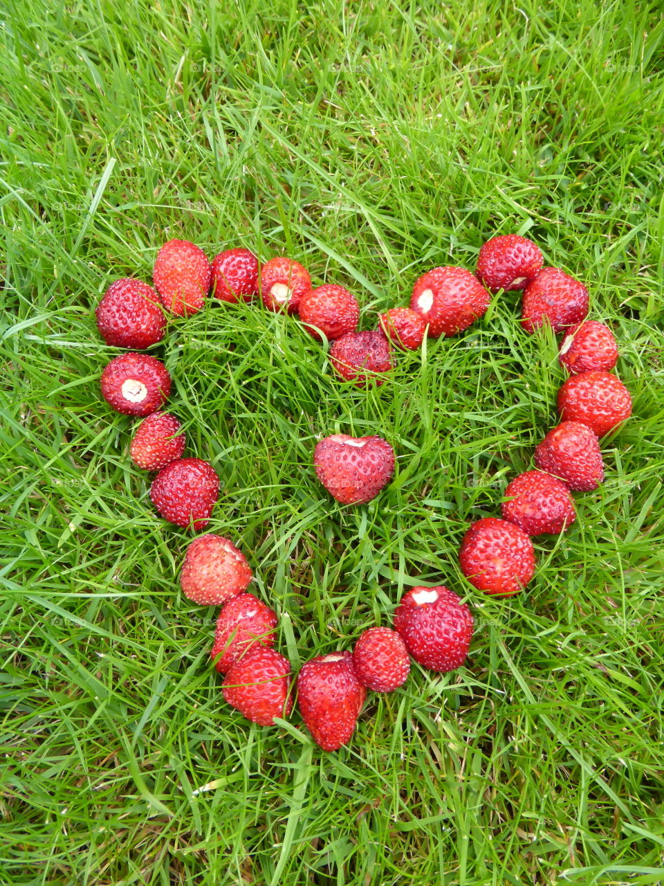 wild strawberries