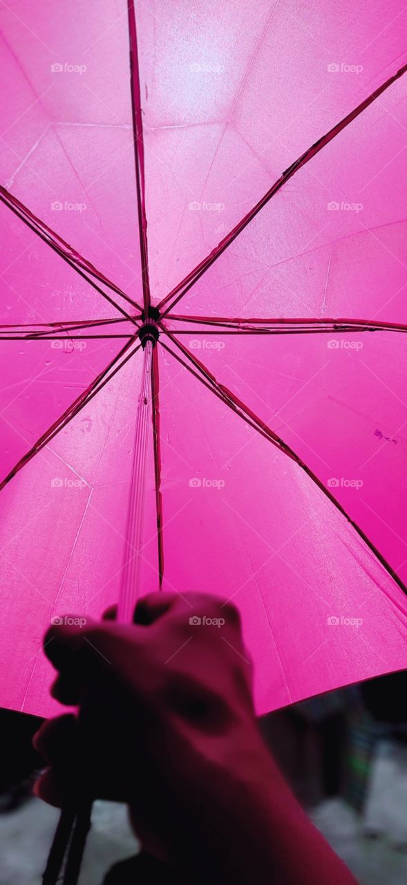 pink umbrella