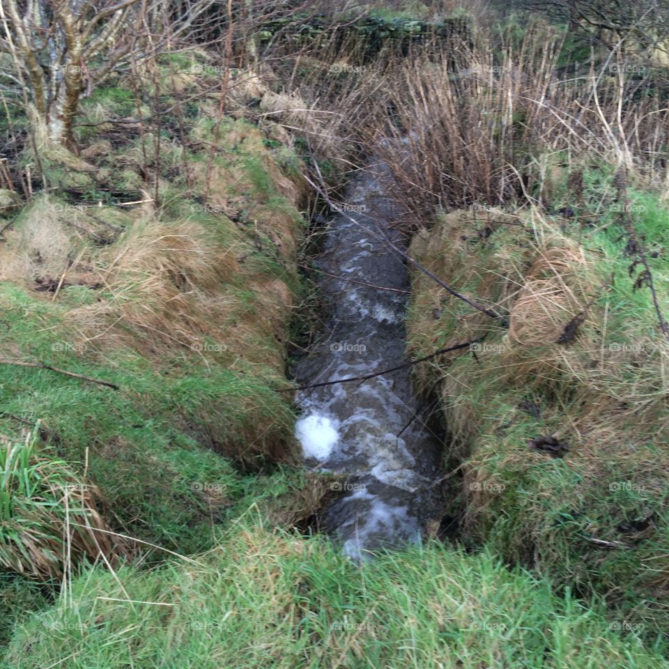 Running water in the ditches