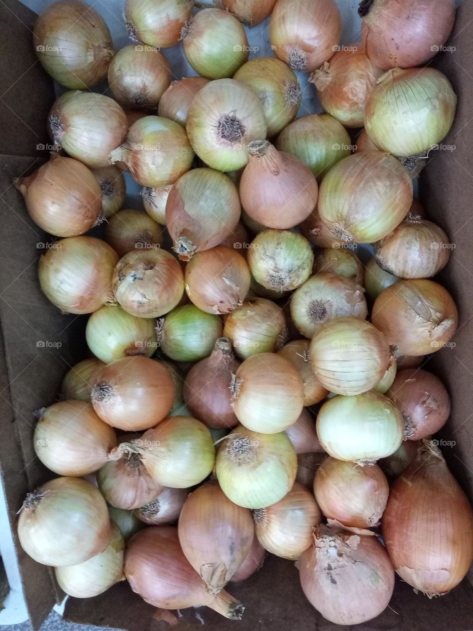 onions