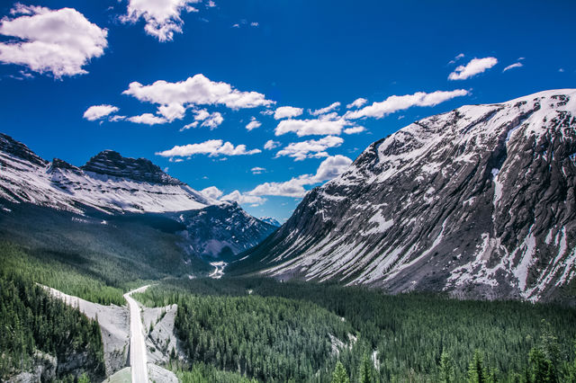 North of Peyto Lake