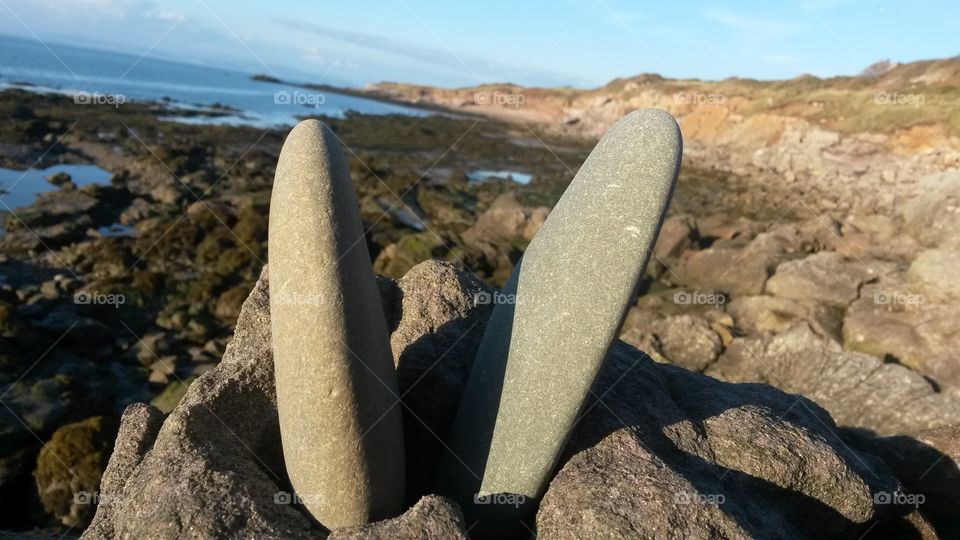 two smooth stones pressed into the rough and rocky shore