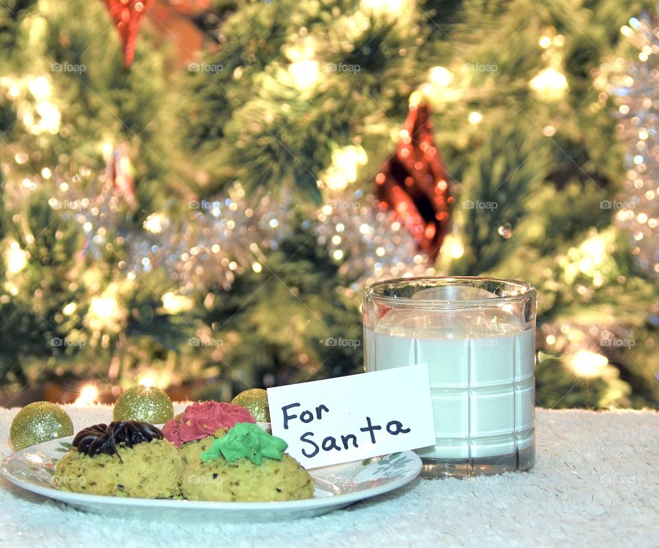 Snacks for Santa