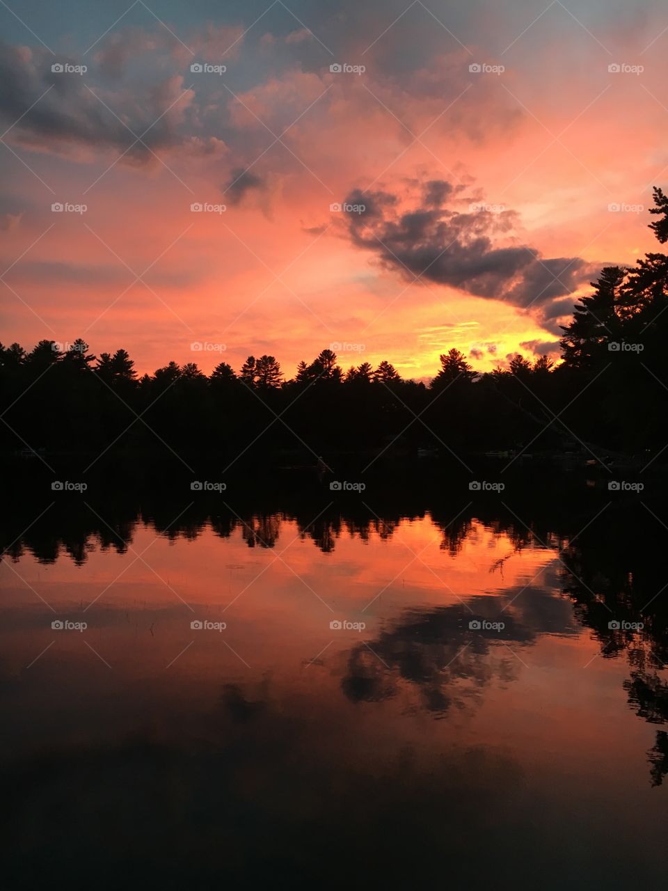 Sunset on the Pond