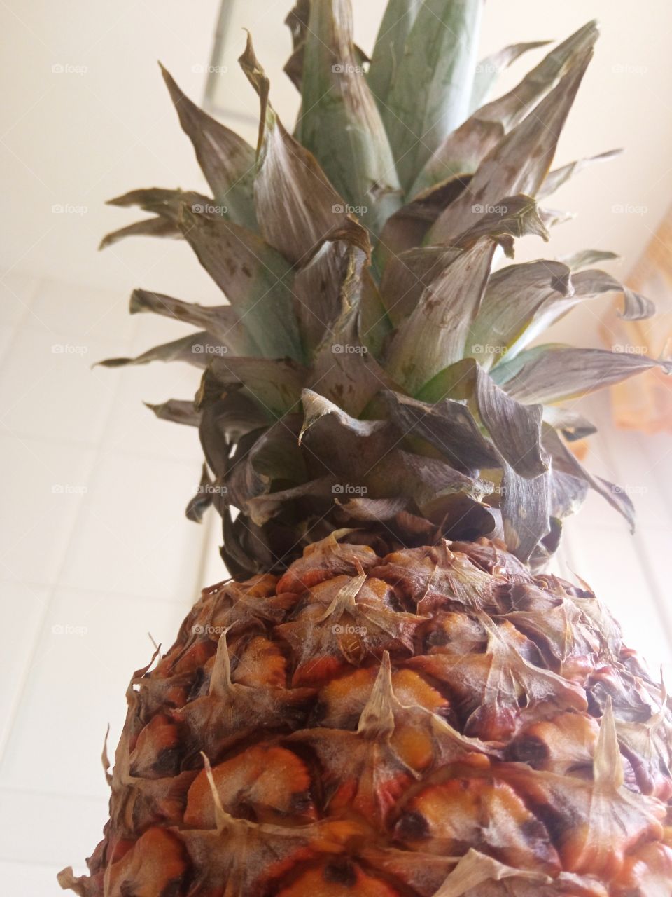 Piña
