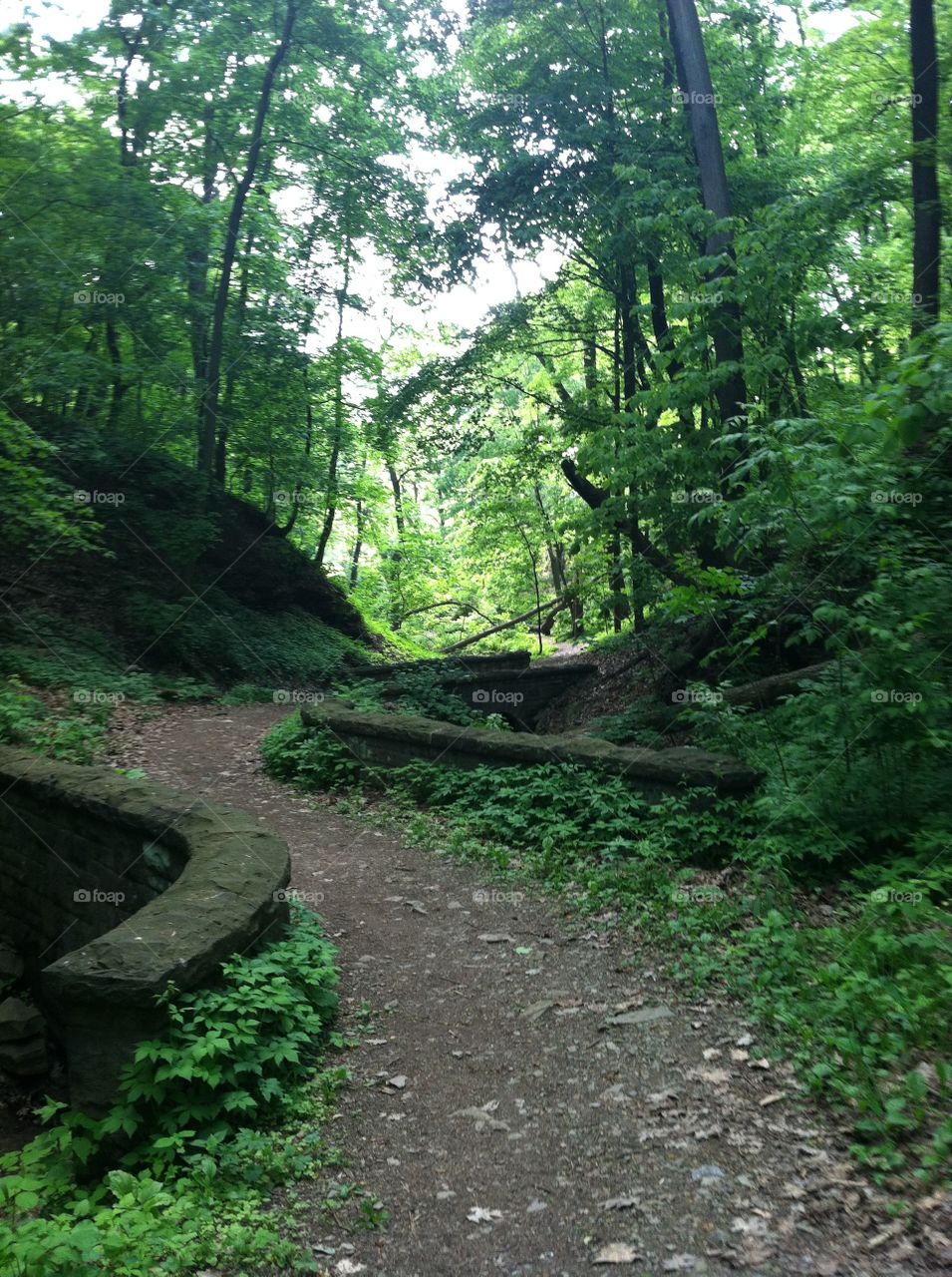 Surrounded by greenery