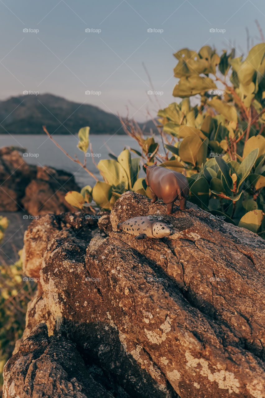 Toys on the rock of an island 