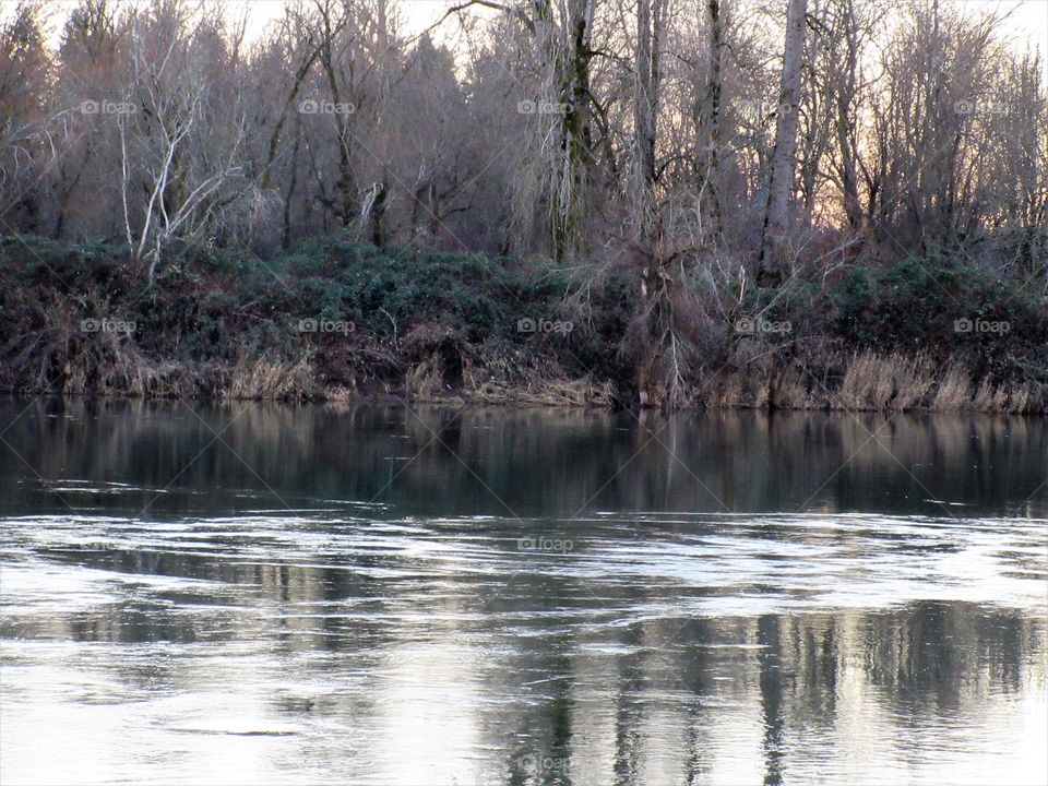 evening on the river