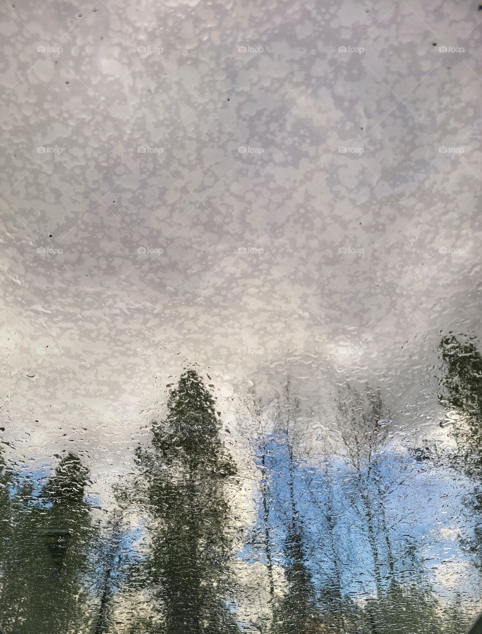 Raindrops falling on the greenhouse roof