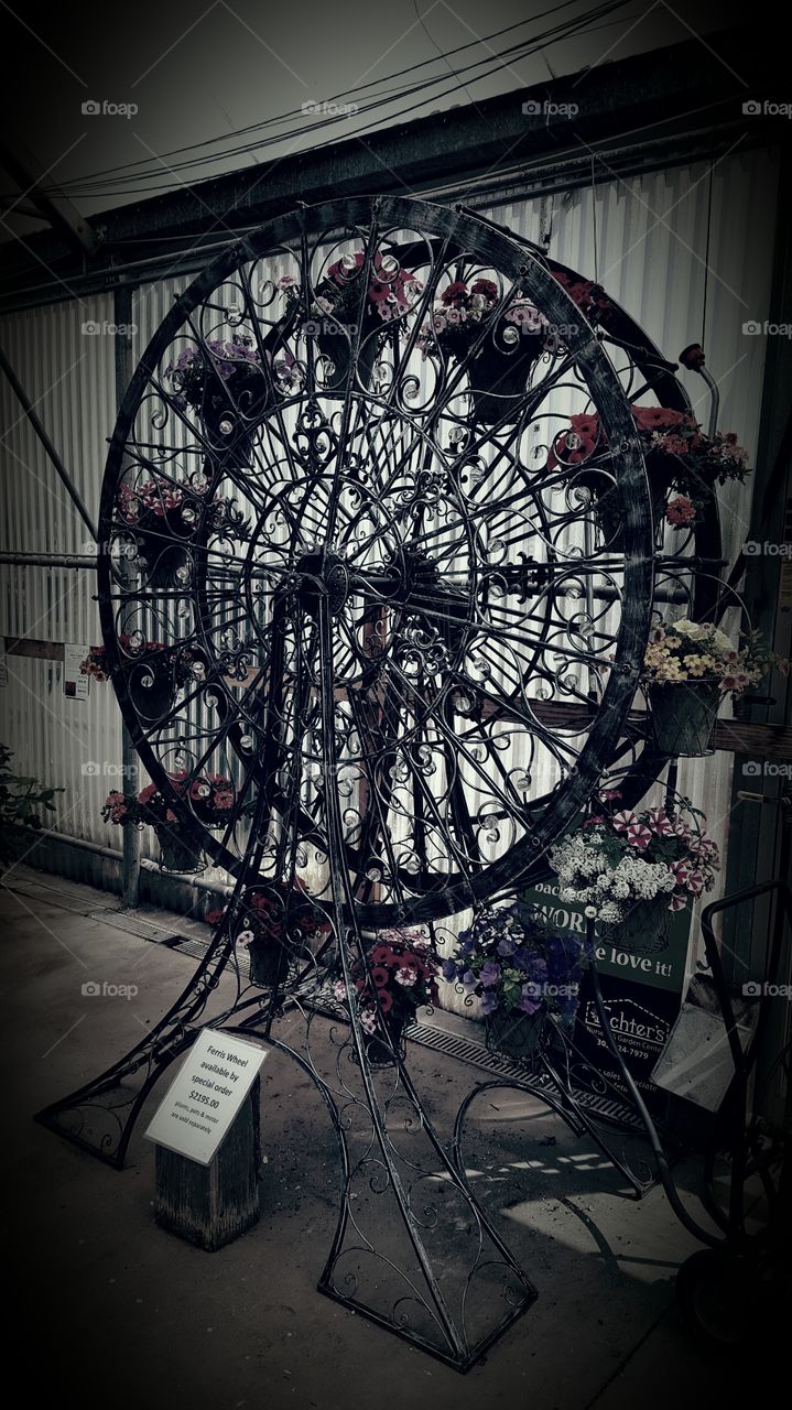 garden farris wheel