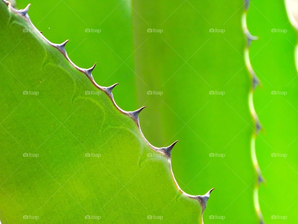 Everything with another approach