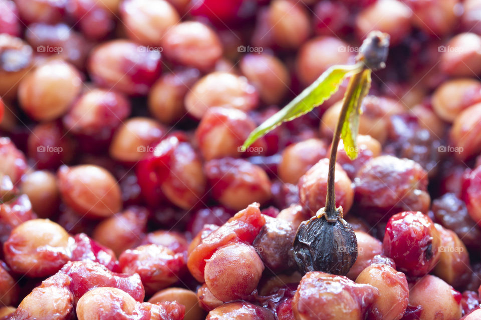 background of a heap of sour cherry pits