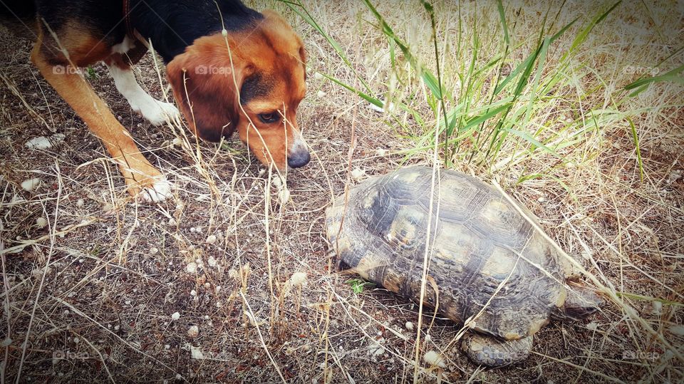 looking for some reason reason