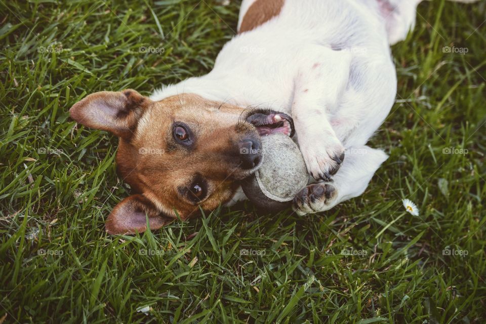 JRT play time is all the time
