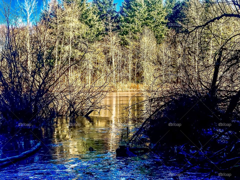 Facing Winter's Chill