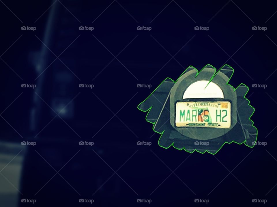 Unique Florida license plate collection MARKS H2