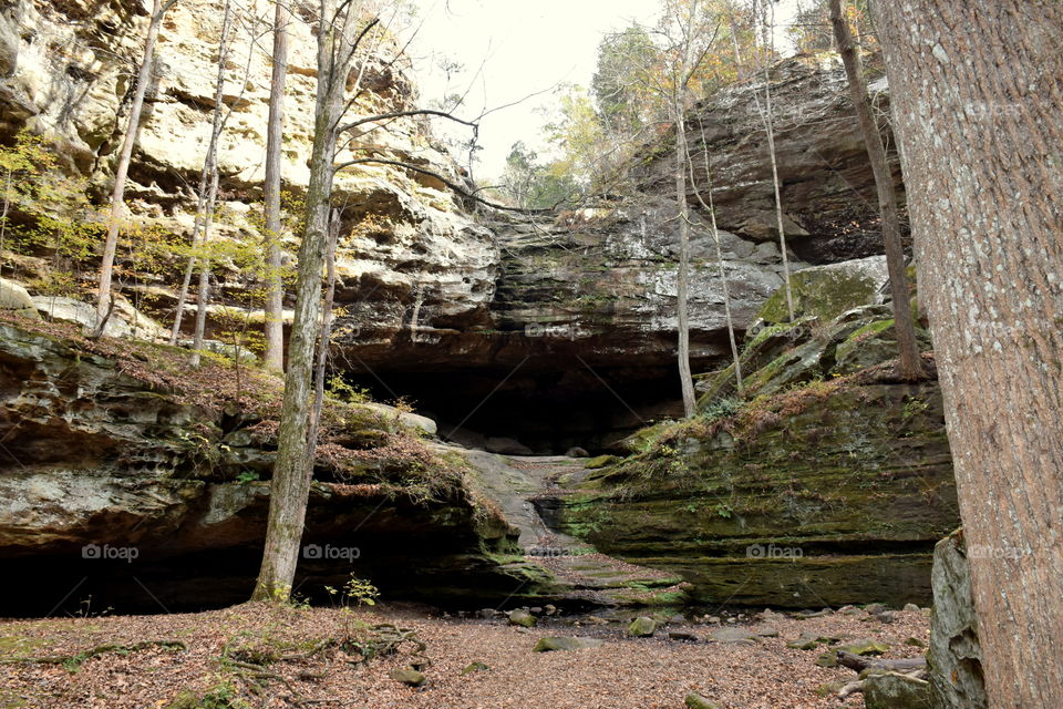 Ferne Clyffe State Park