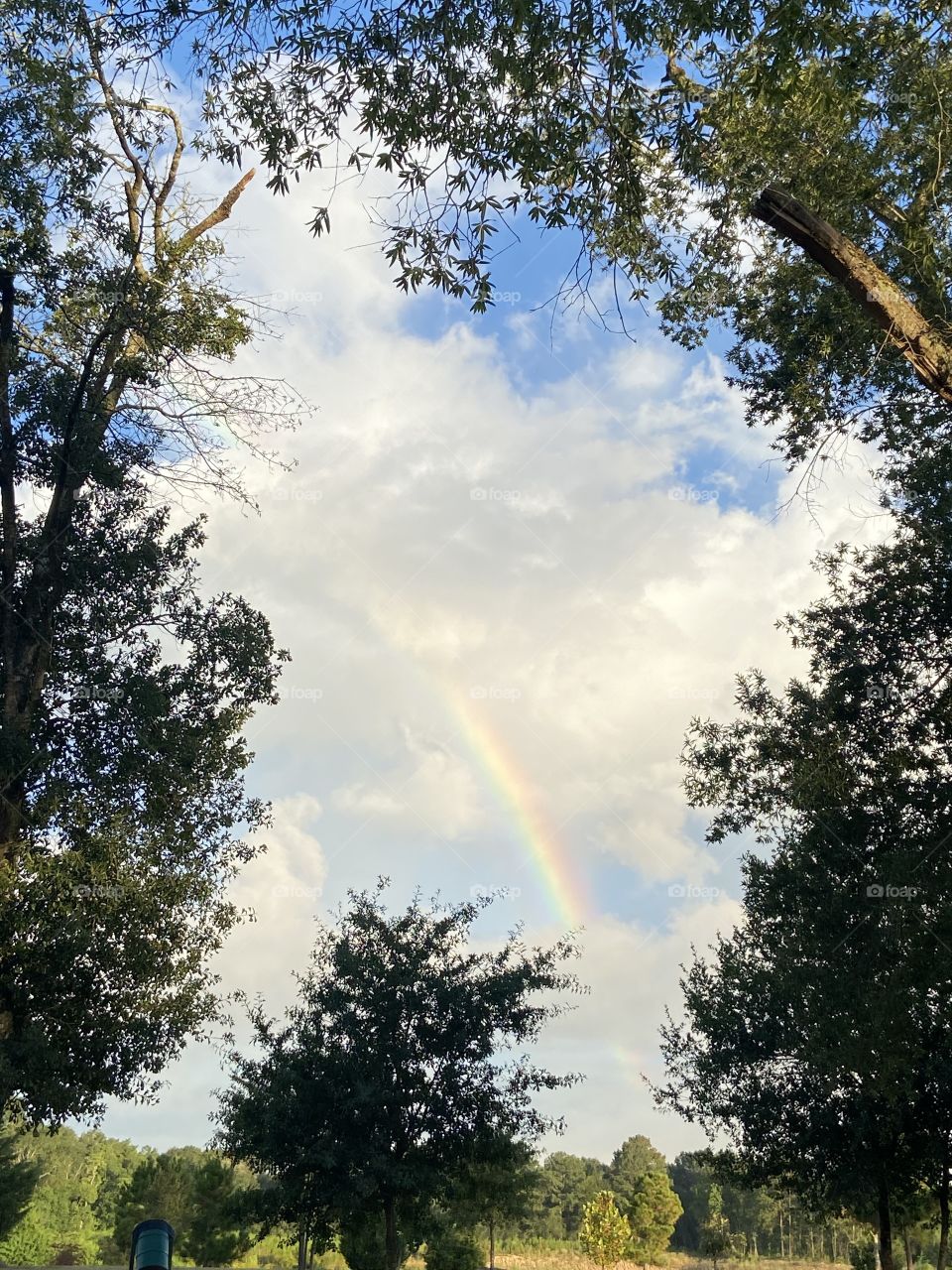 A pretty rainbow 🌈