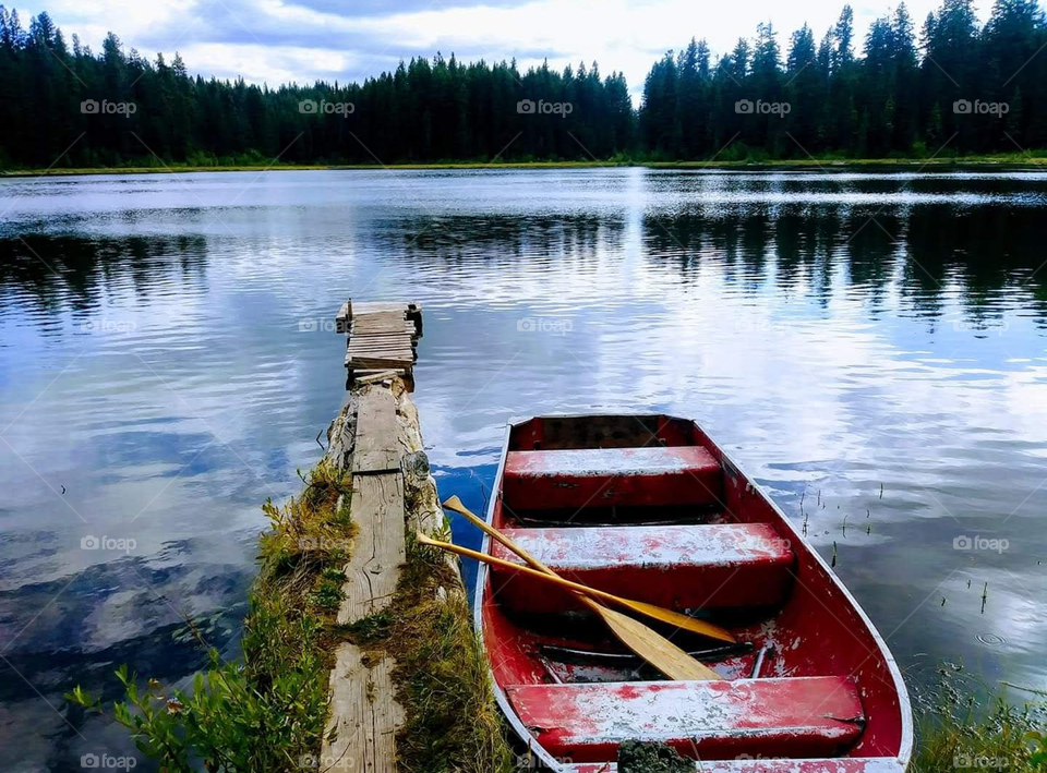 Nice day for a boatride on the lake .Beautiful moments