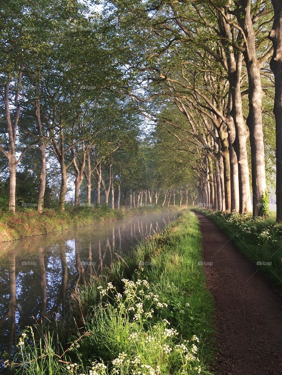 Canal du Midi