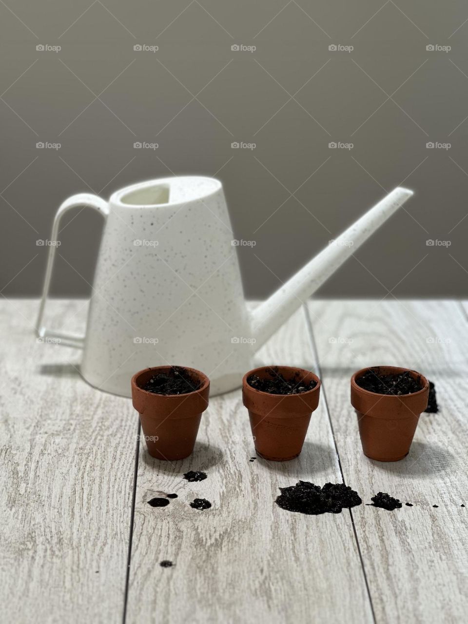 White speckled plastic watering can and three tiny terra cotta pots with potting soil and planted seeds on white bleached board background