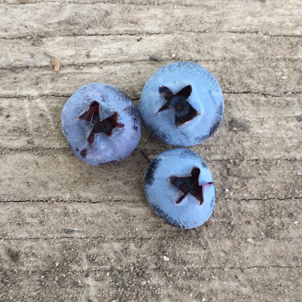 Organic blueberries 