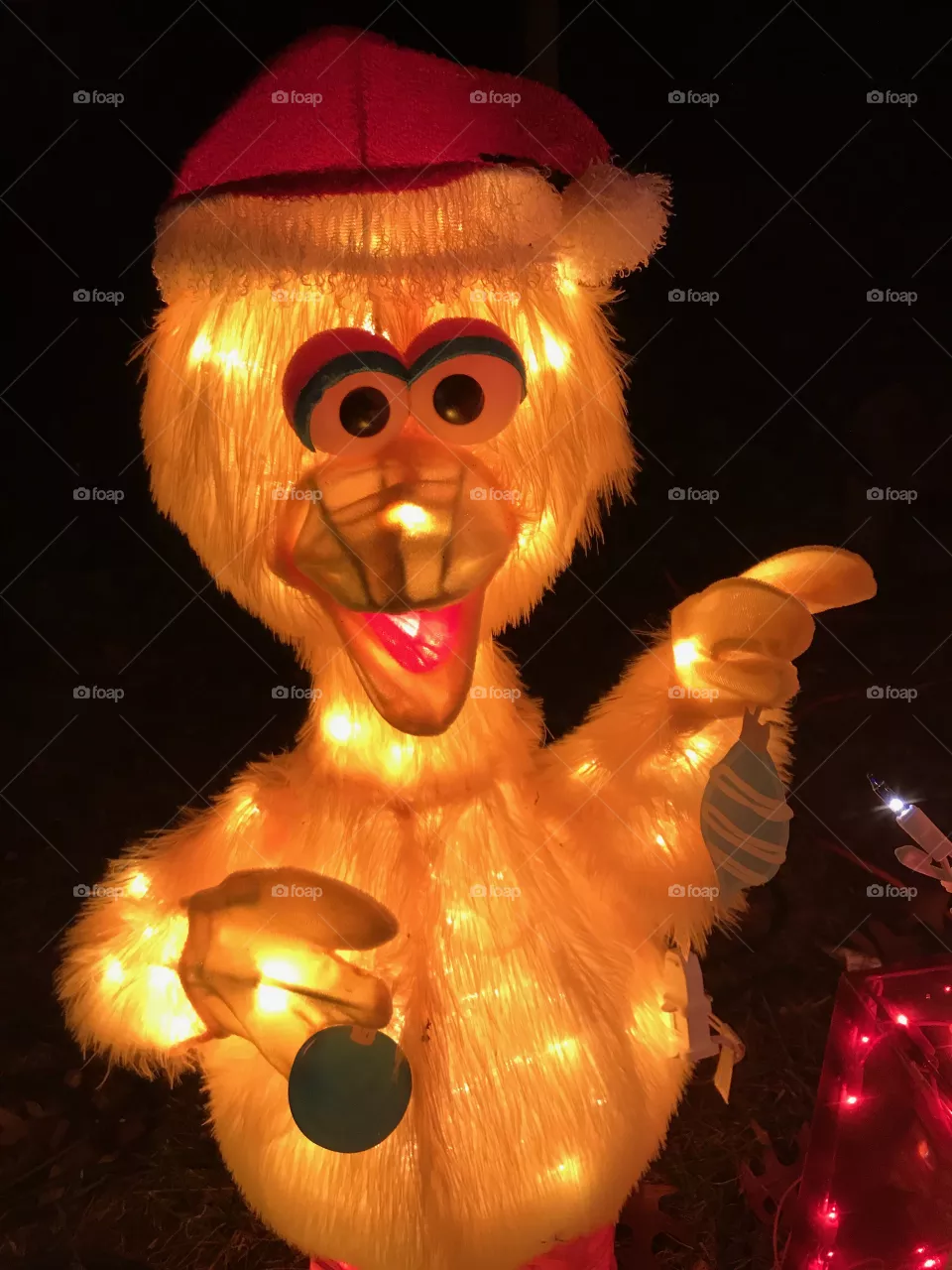 Big bird