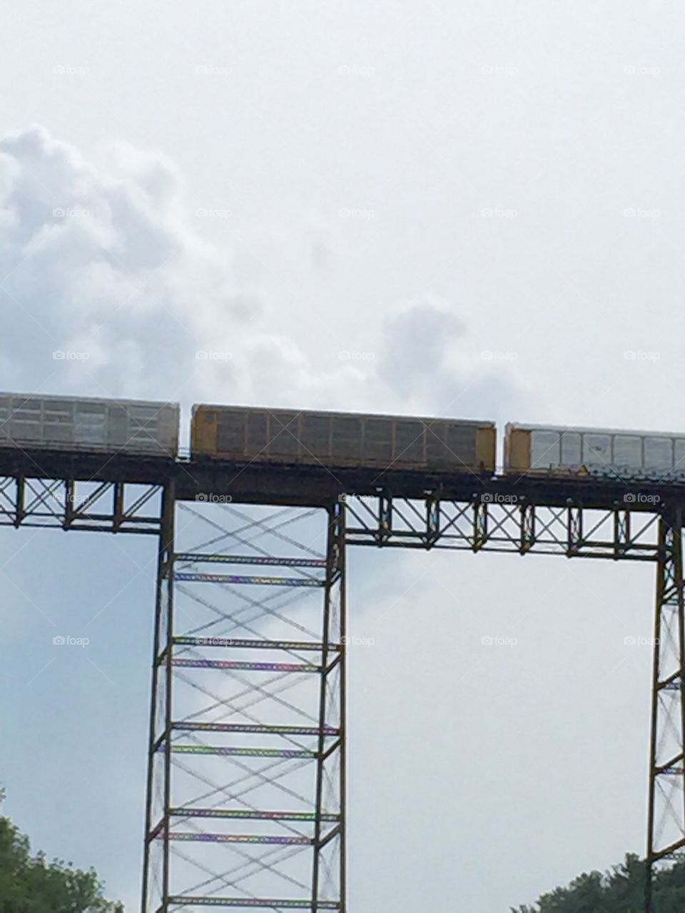 Train trestle built in 1875 over a gorge in New York State. Train on the  trestle.