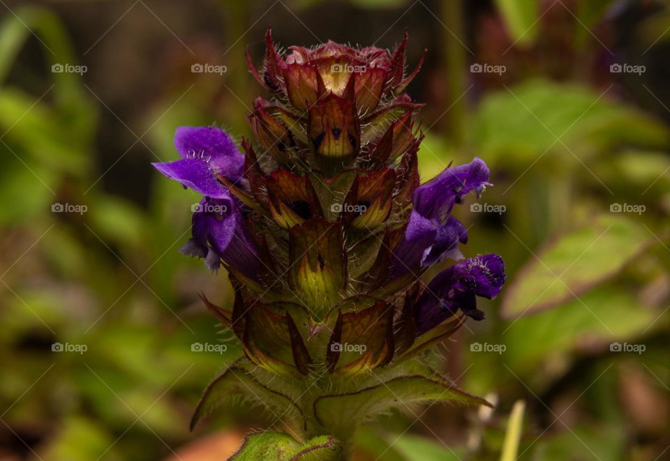 I See You (Self-heal)