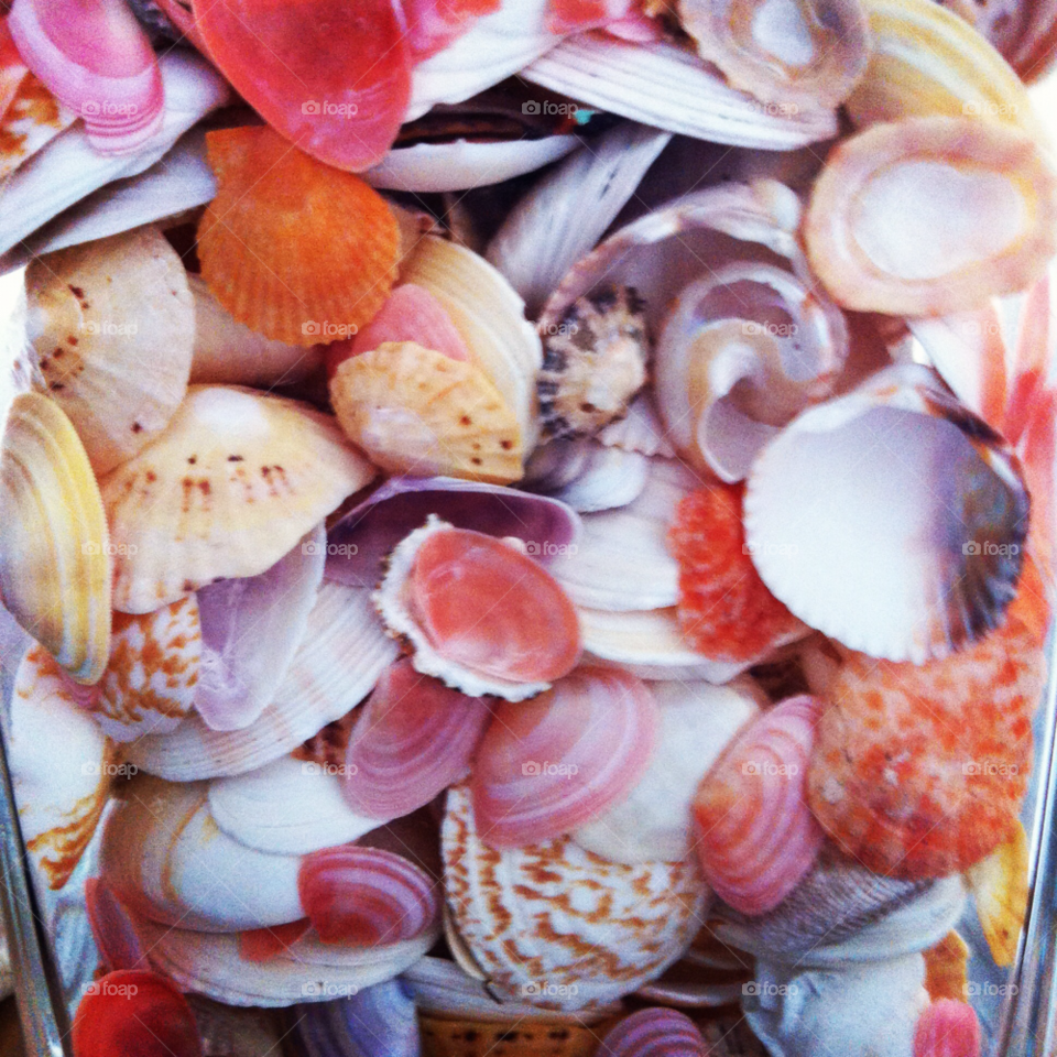 Desktop, Decoration, Collection, Color, Food