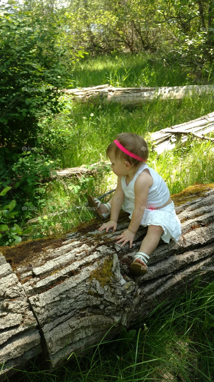sitting on nature's chair