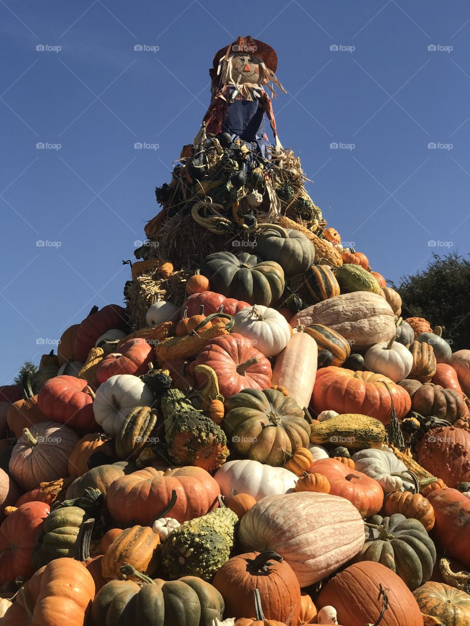 Pumpkin Pyramid 
