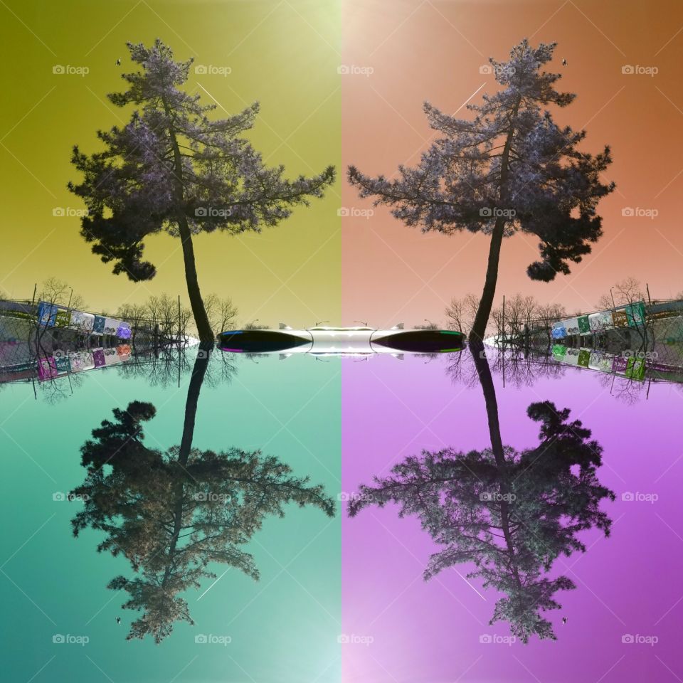 Tree by the side of the Long Island Expressway in Queens NY