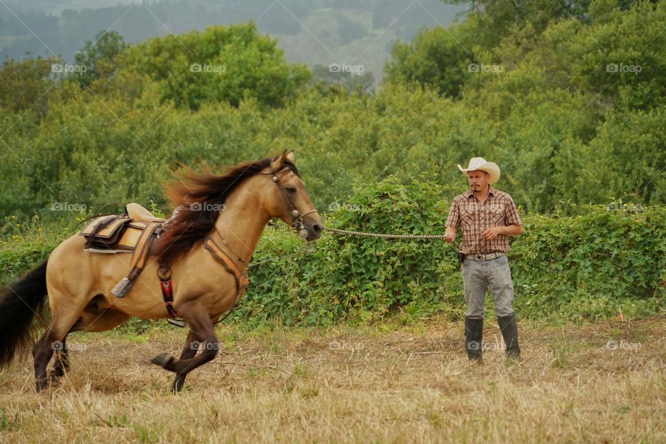 Cowboy In A Pasture With His Horse