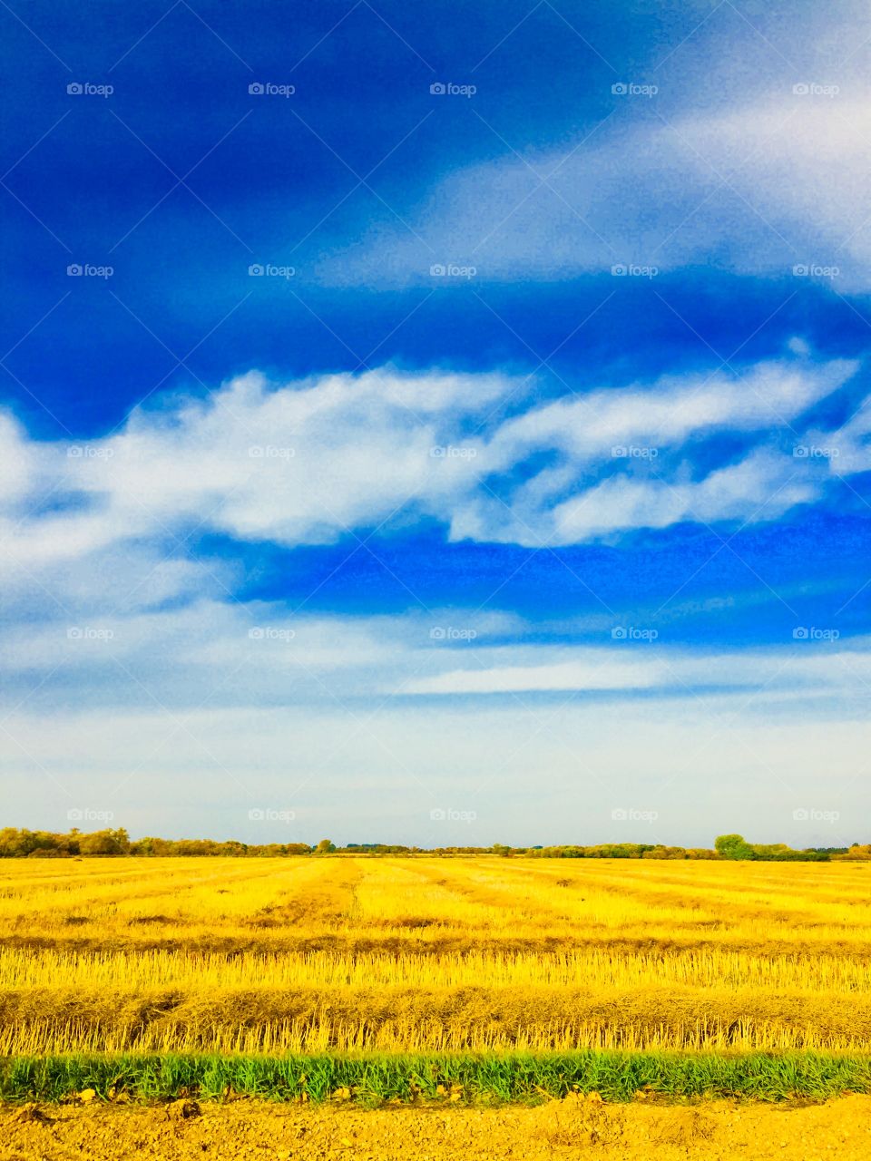 Brandon Manitoba prairie 