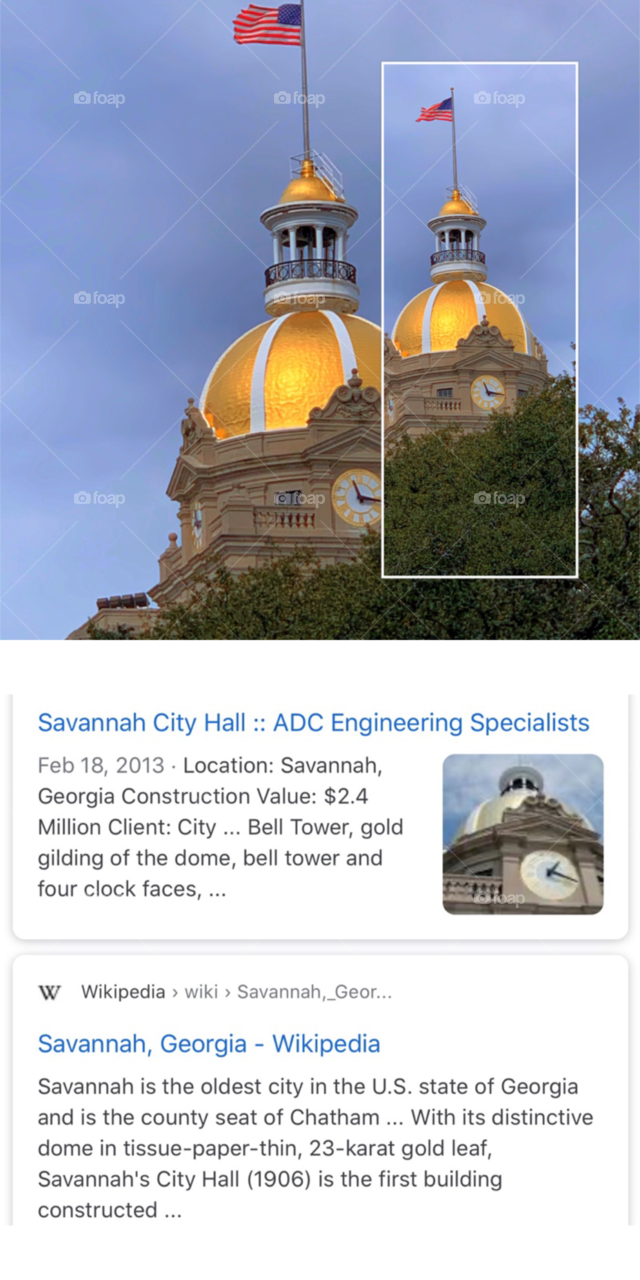 Savannah City Hall Dome,Savannah, Georgia 