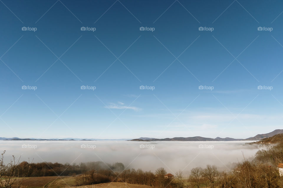Rural landscape with dense fog