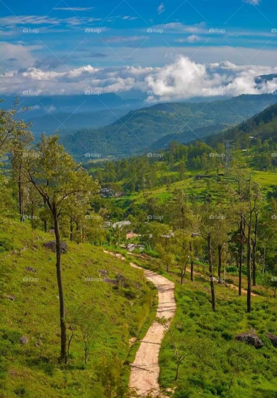 Beautiful mountains and forests