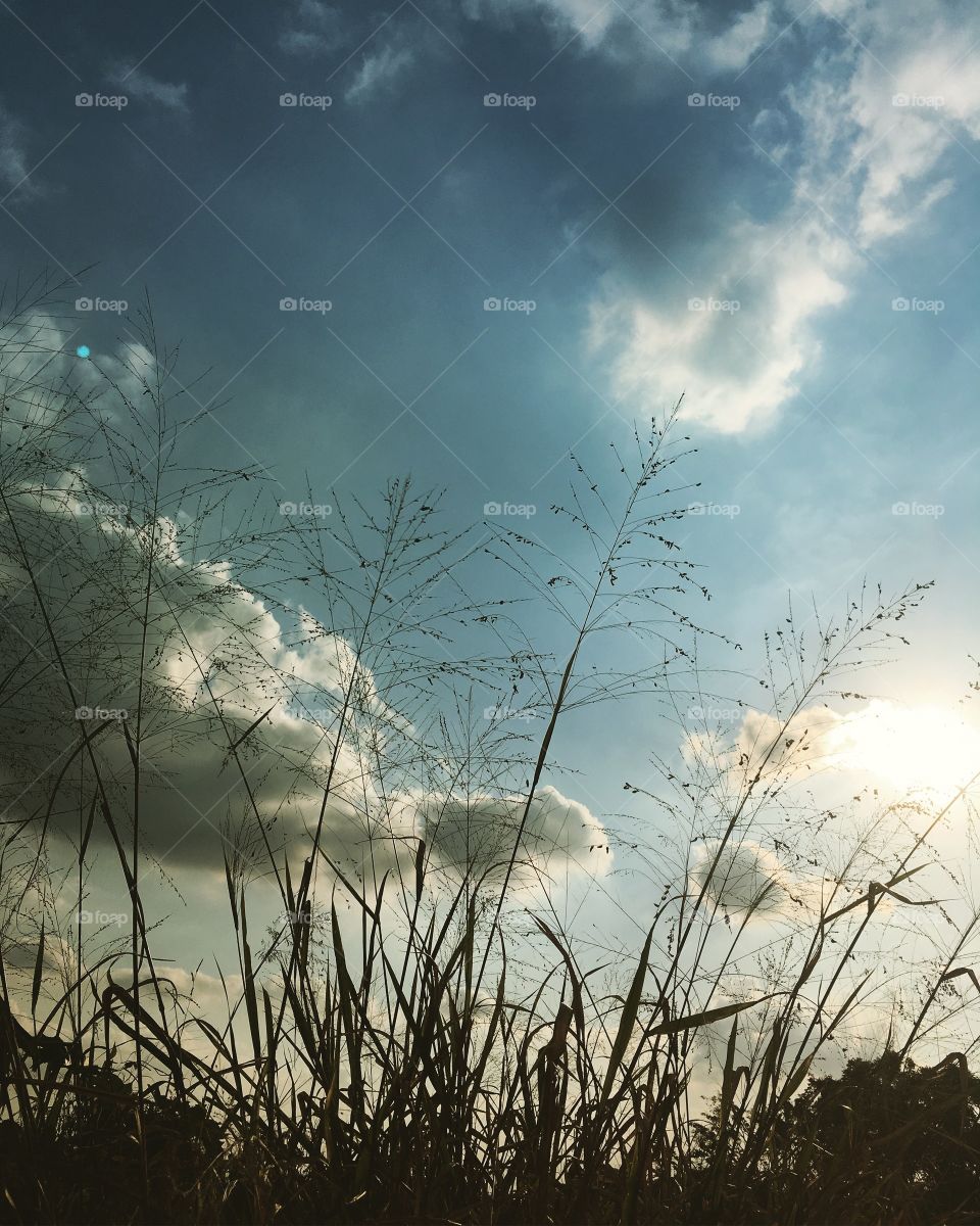 ‪Nosso #entardecer caipira!‬
‪🌄‬
‪#natureza‬
‪#paisagem‬
‪#fotografia‬
‪#landscapes‬
‪#mobgrafia‬
‪#nuvens‬