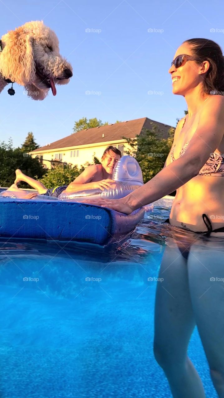 above and below the water photo