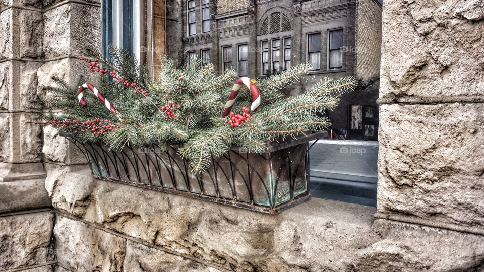 Festive Window