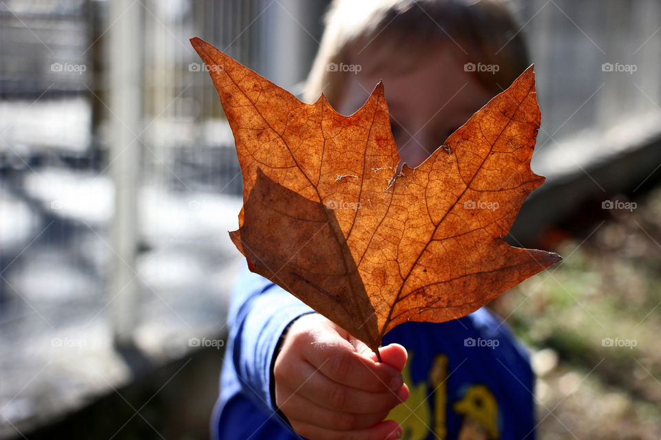 First sign of autumn