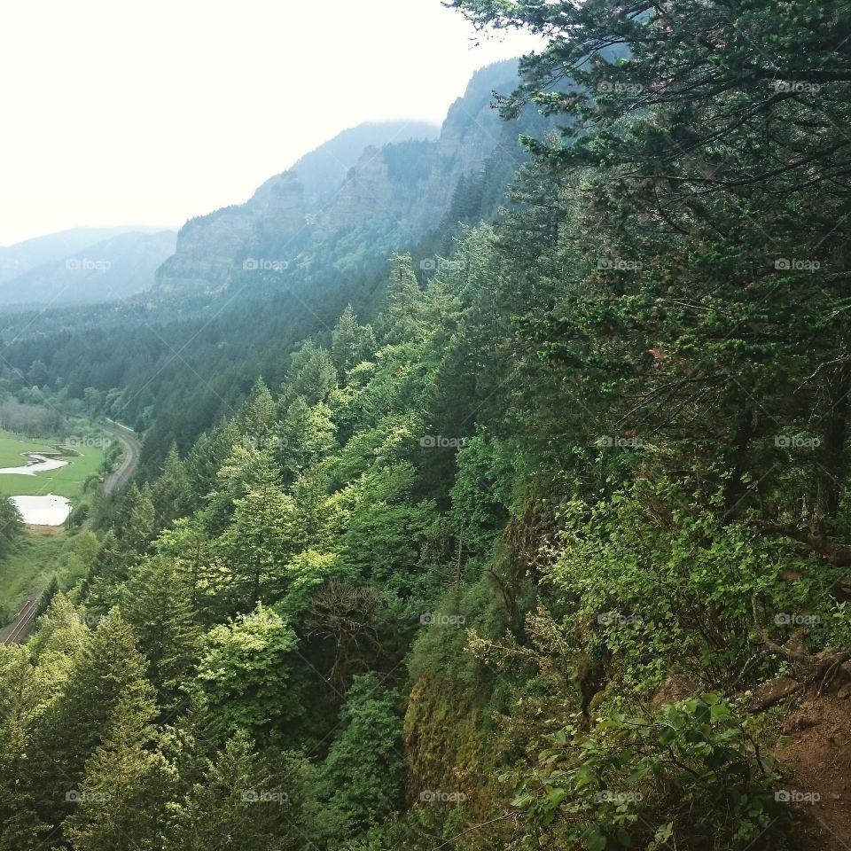 Horsetail Falls overlook. My favorite view from this trail part 1 of 3
