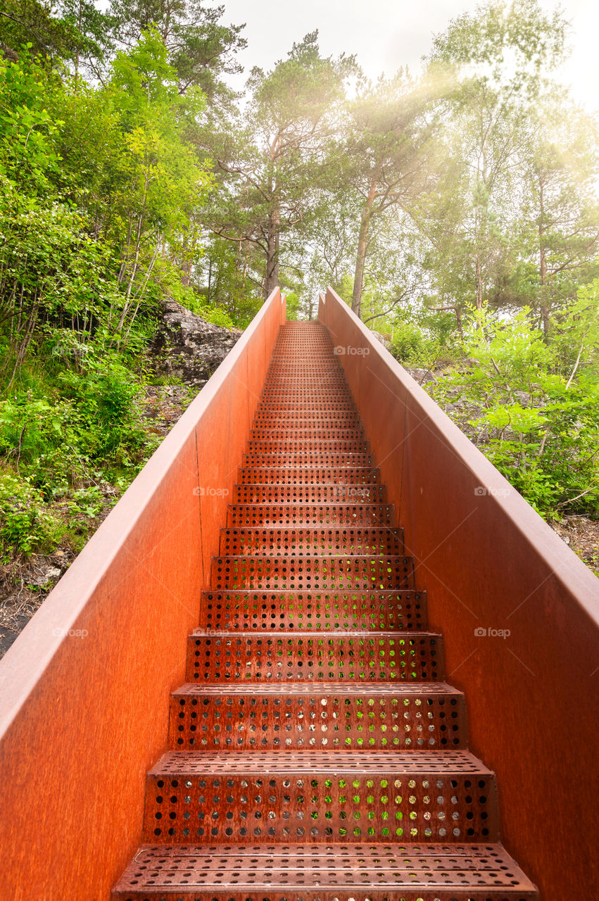 Escape to nature. Rusty stairs leading up to the forest.