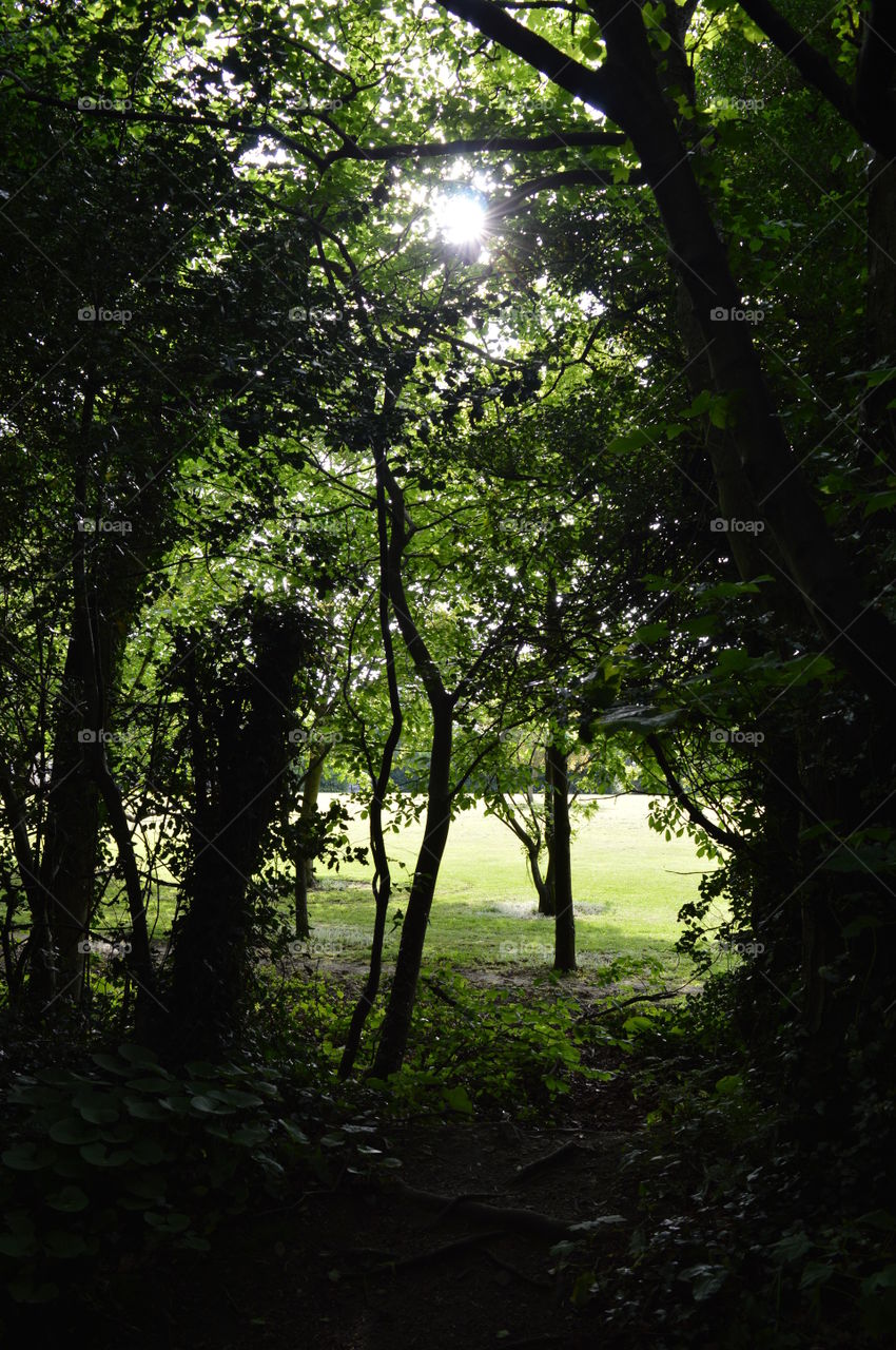 St. Enda's Park Ballinteer Dublin Ireland. Thursday 15th May 2014.